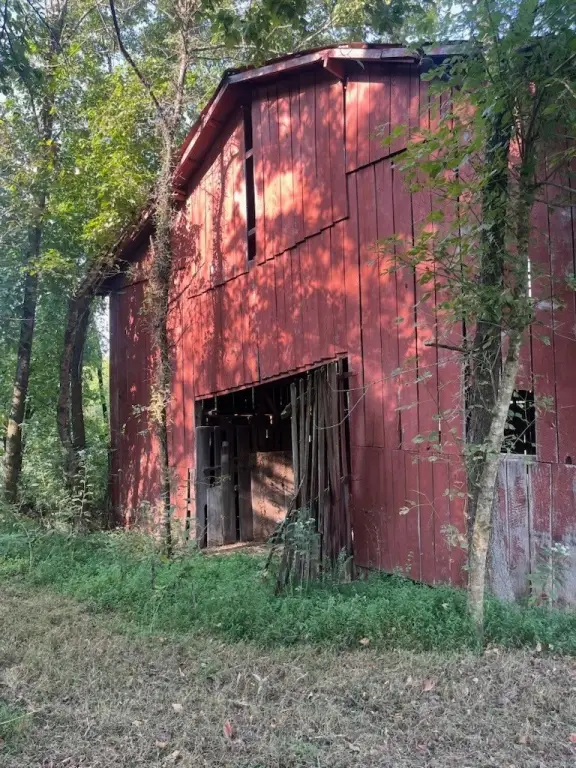Picture 6