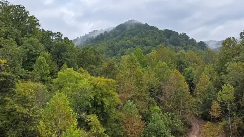 Unrestricted Hunting Land