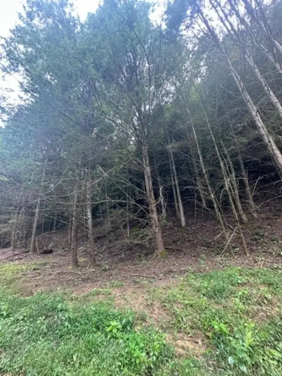 Picture 18