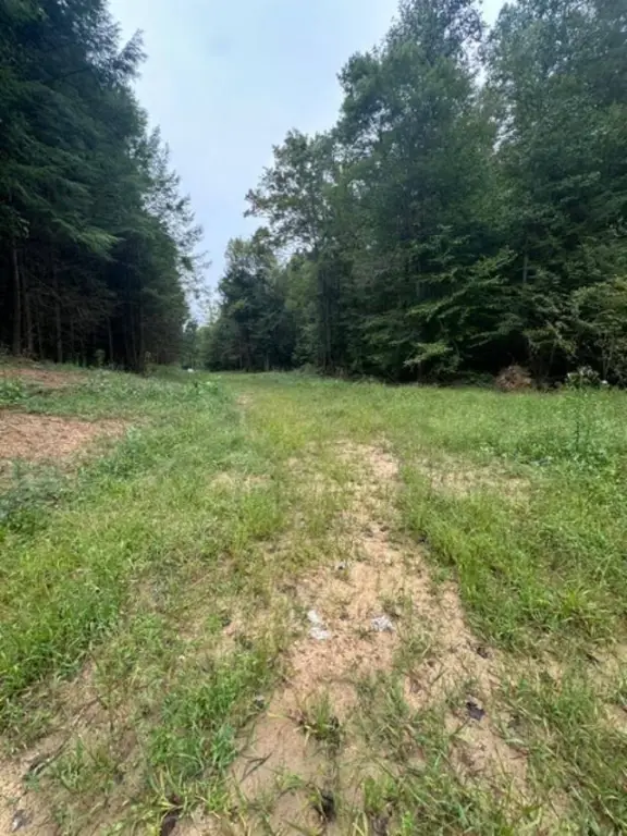 Picture 32