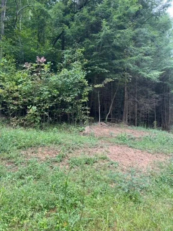 Picture 20