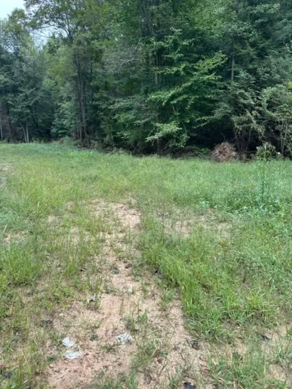 Picture 17
