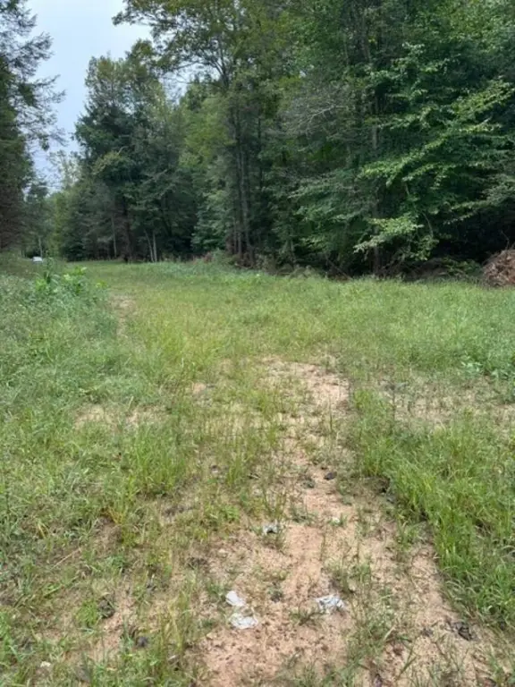 Picture 21