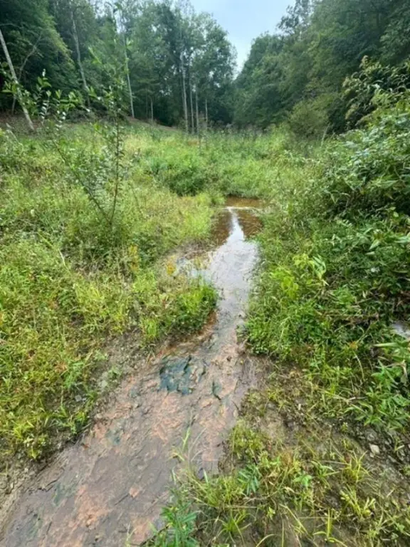 Picture 31