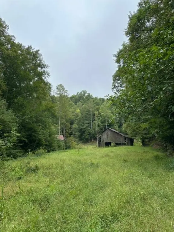 Picture 19