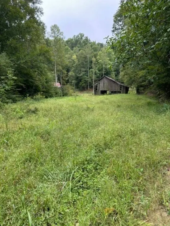 Picture 14