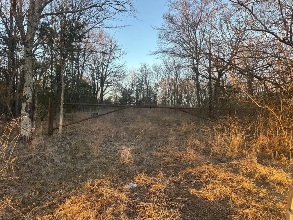 Picture 21