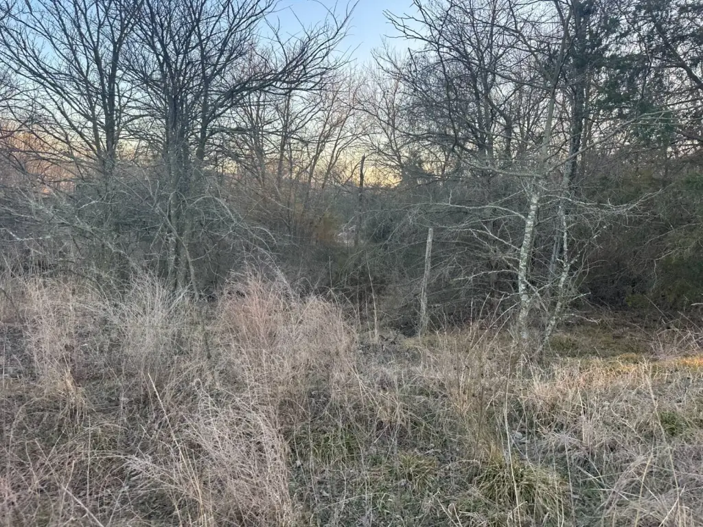 Picture 19