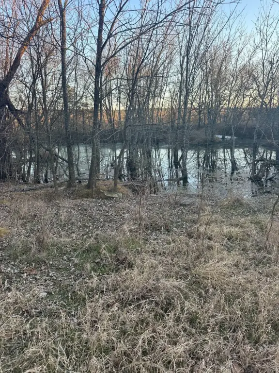 Picture 12