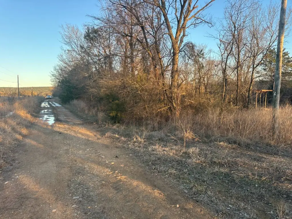 Picture 5