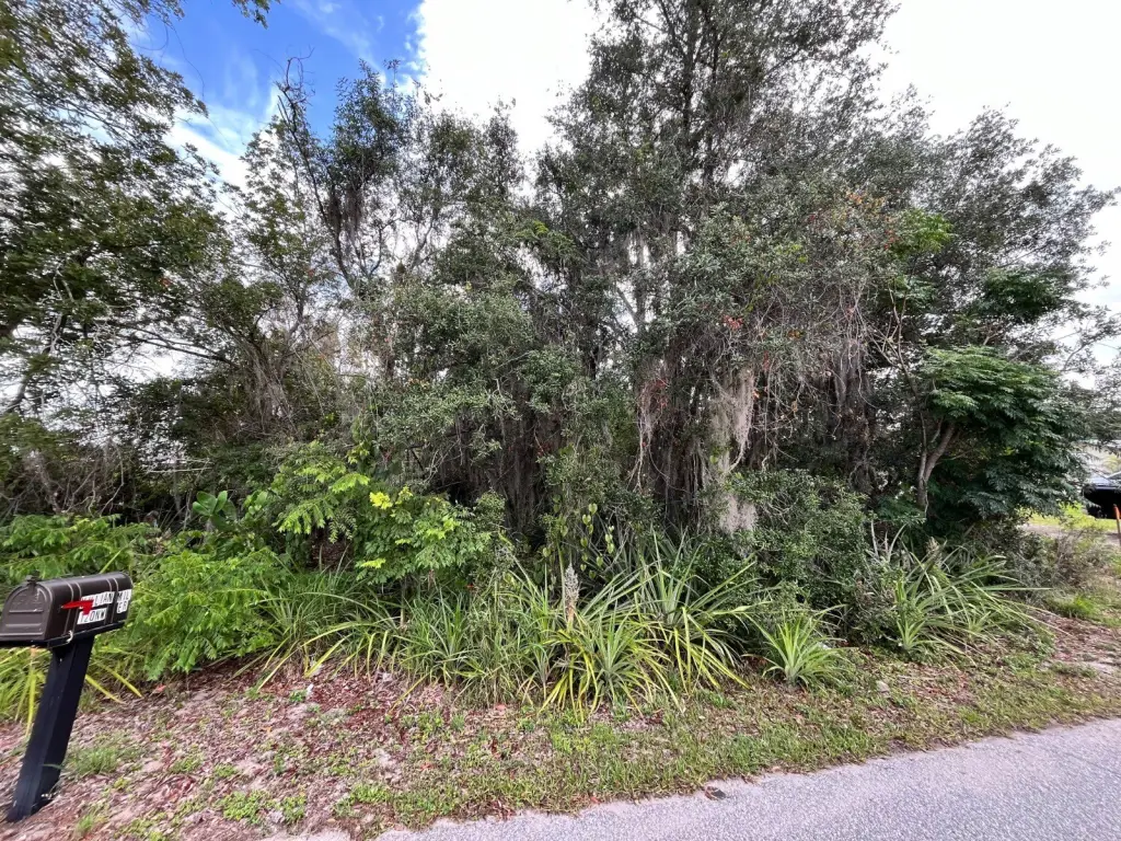 Picture 2
