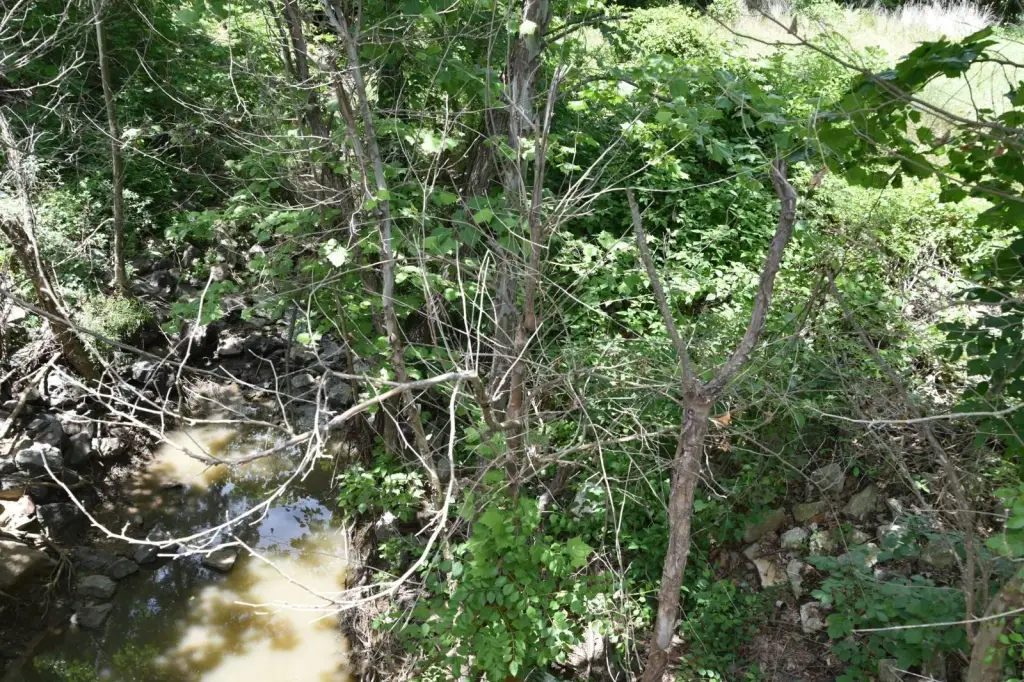 Picture 16