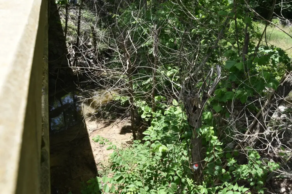 Picture 15
