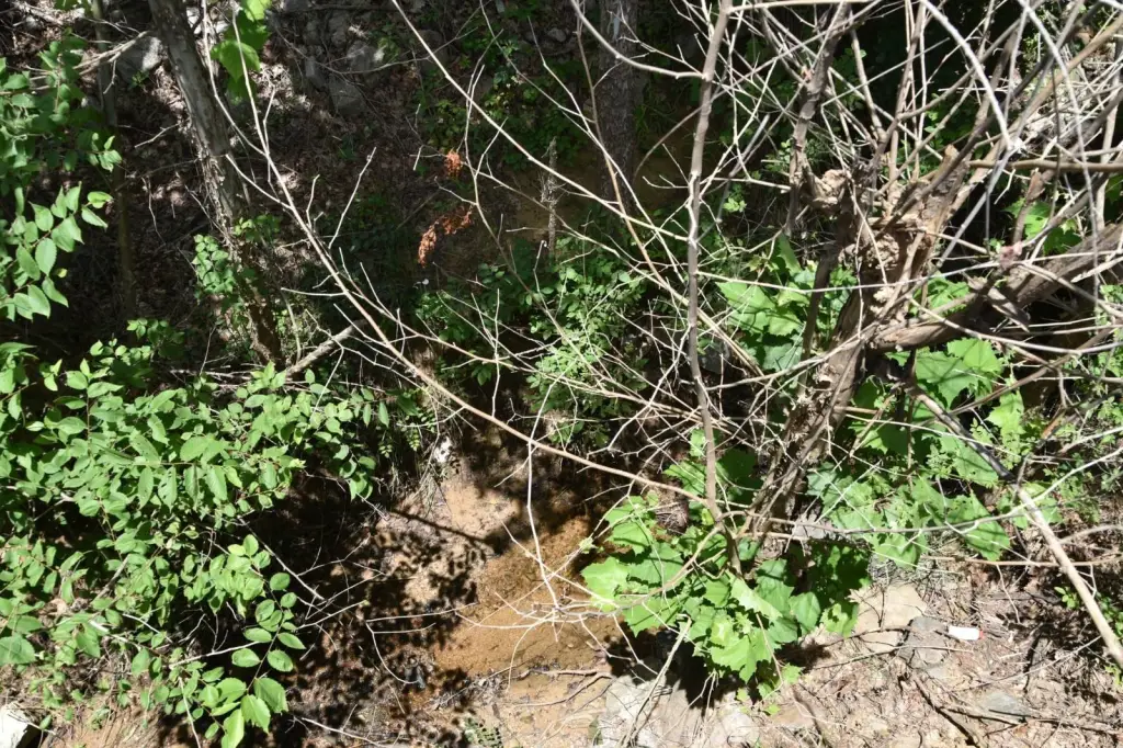 Picture 14