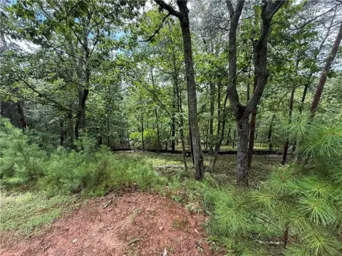 Cartersville Homesite in Gated Community