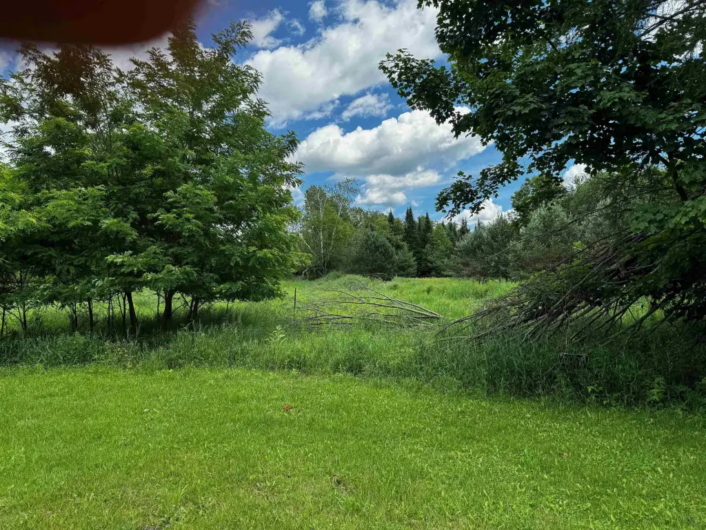 Picture 27