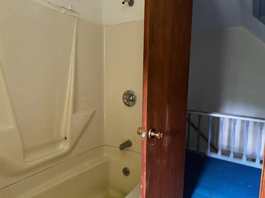 Picture 19