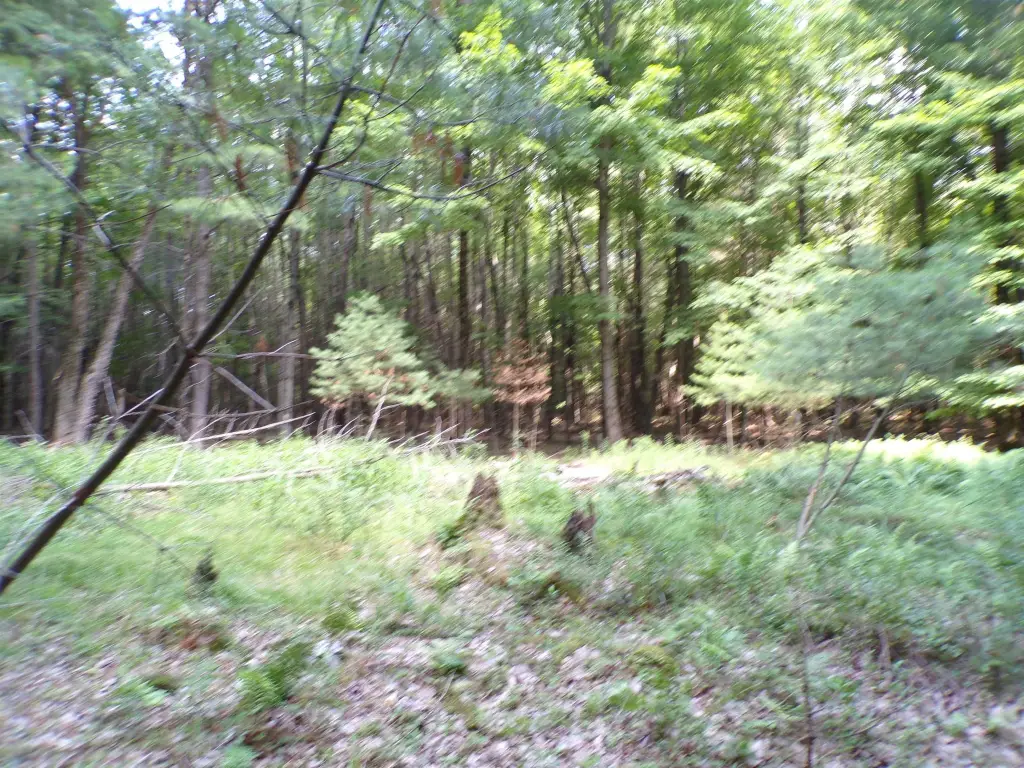 Picture 7