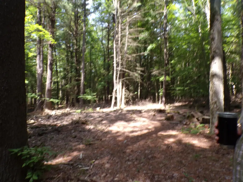 Picture 3
