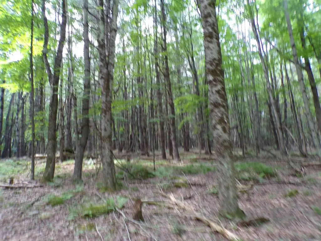 Picture 6