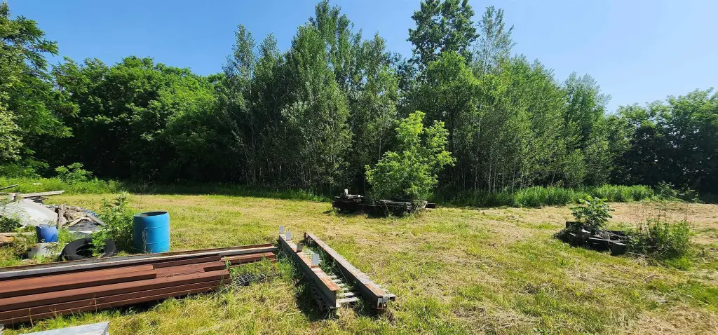 Picture 5