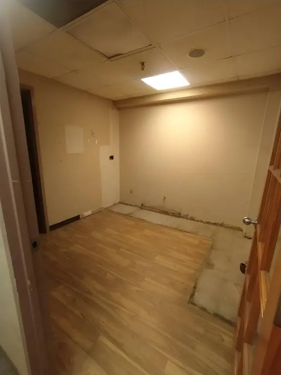 Picture 6
