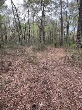 Webster Buildable Land For Sale