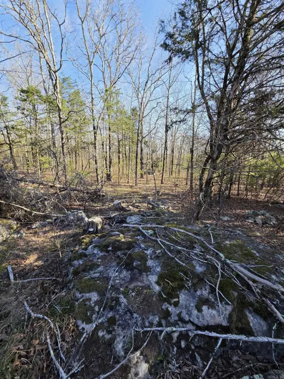 Picture 31