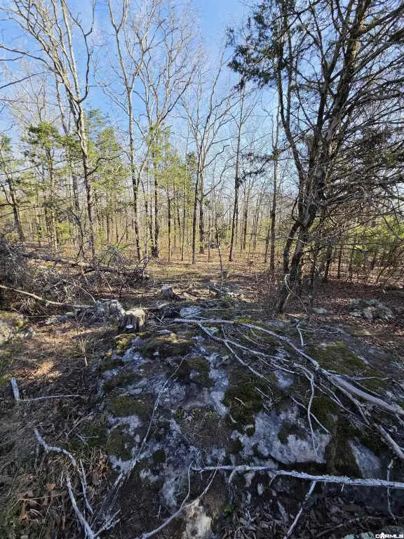 Picture 31