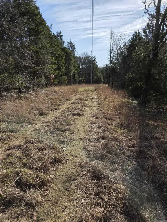 Picture 15