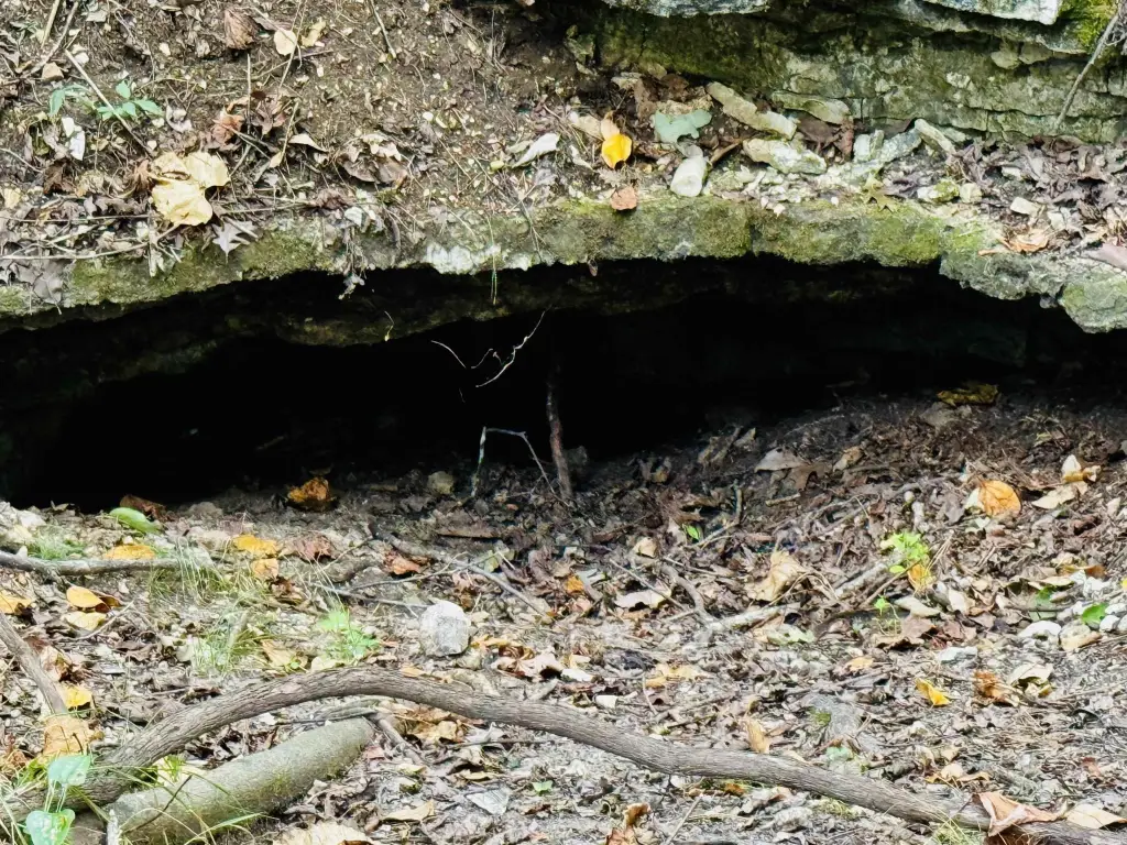 Picture 10