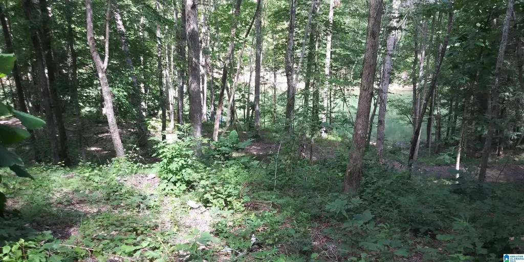 Picture 19