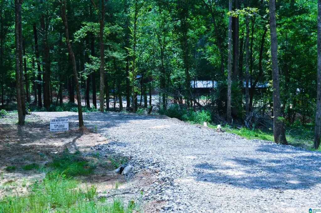 Picture 4