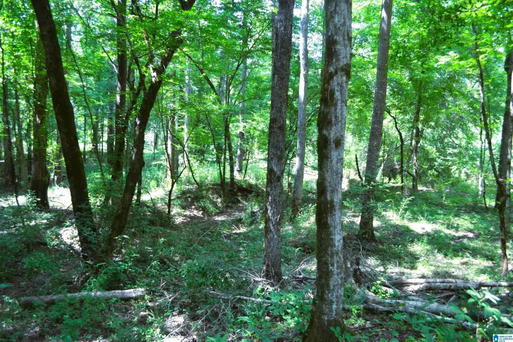 Picture 7