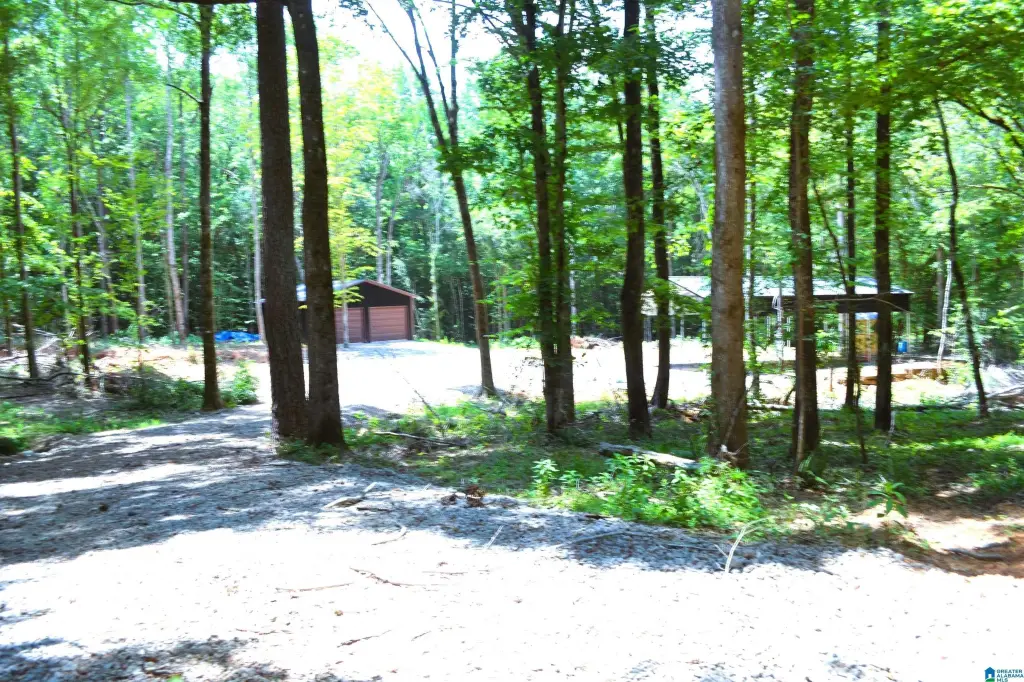 Picture 3