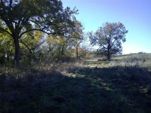 Unimproved Land with Pecan Trees