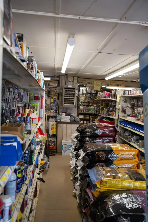 Picture 15