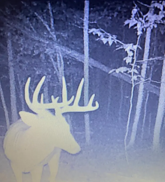 Picture 2
