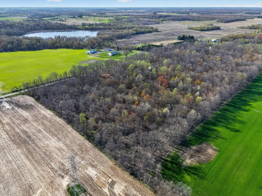 Picture 13