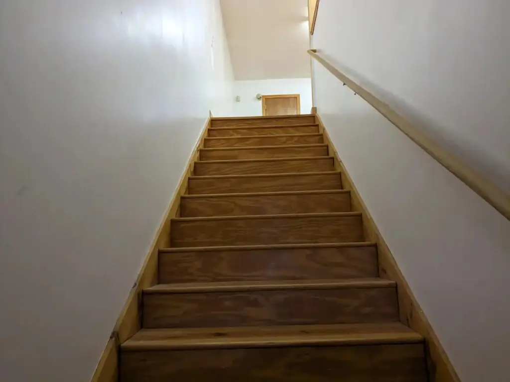 Picture 7