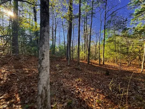 Secluded Lot in Rayburn Country