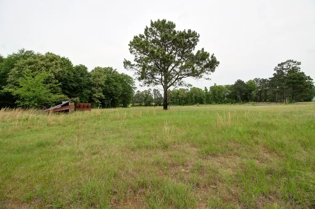 Picture 13