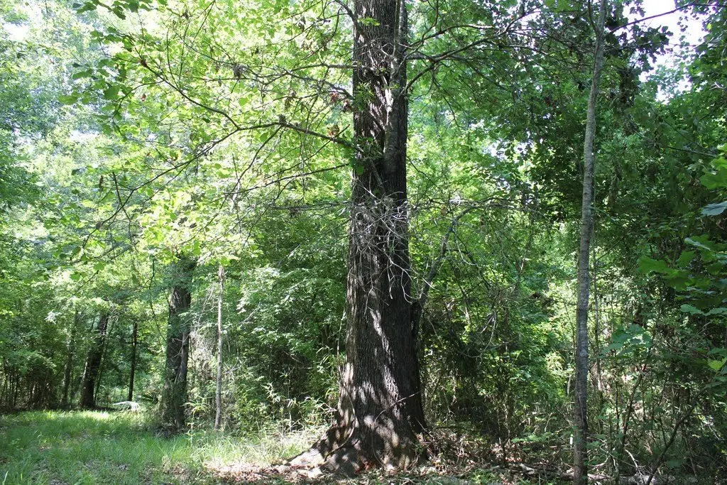 Picture 32