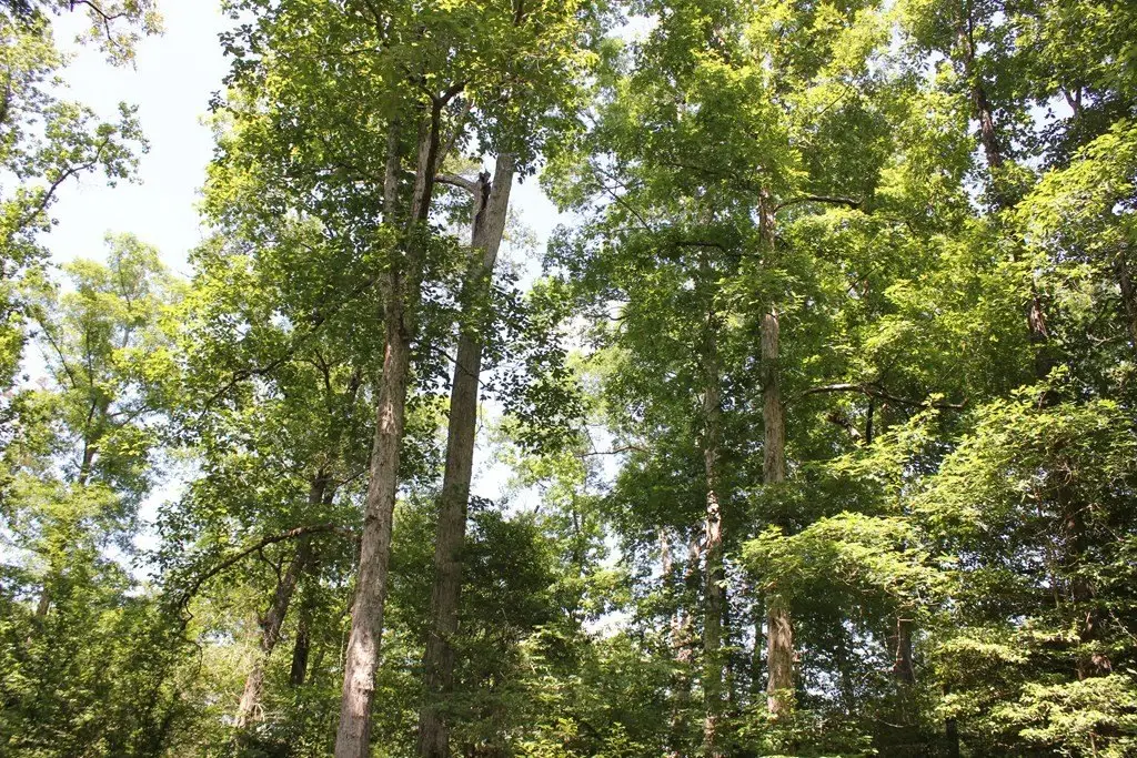 Picture 22