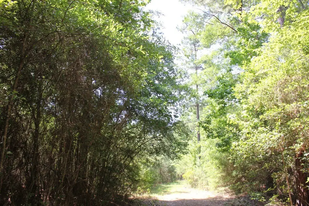 Picture 17