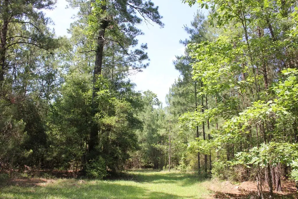 Picture 12