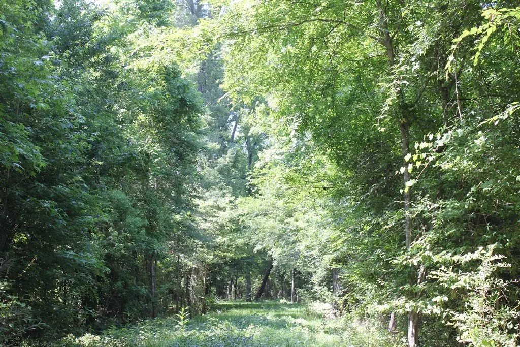 Picture 36