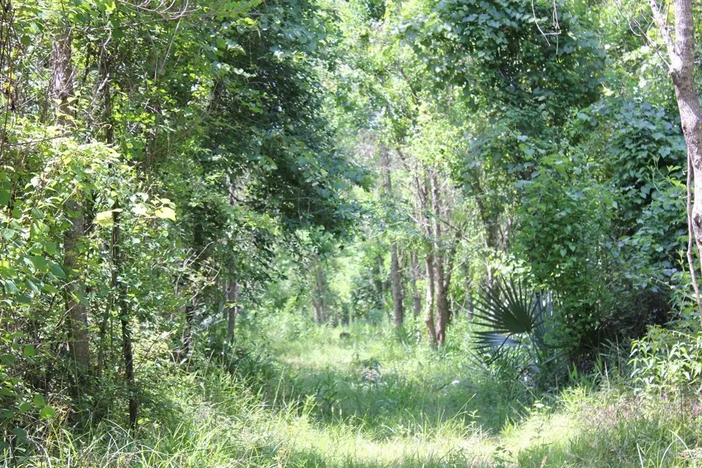 Picture 25