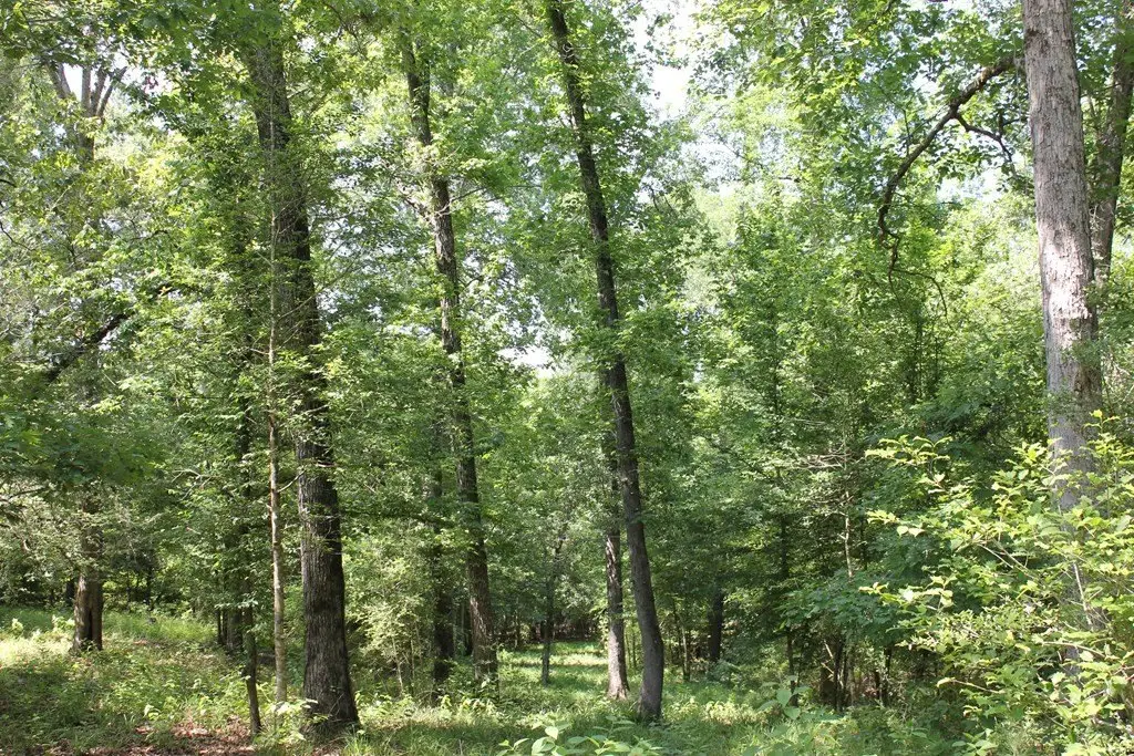 Picture 23