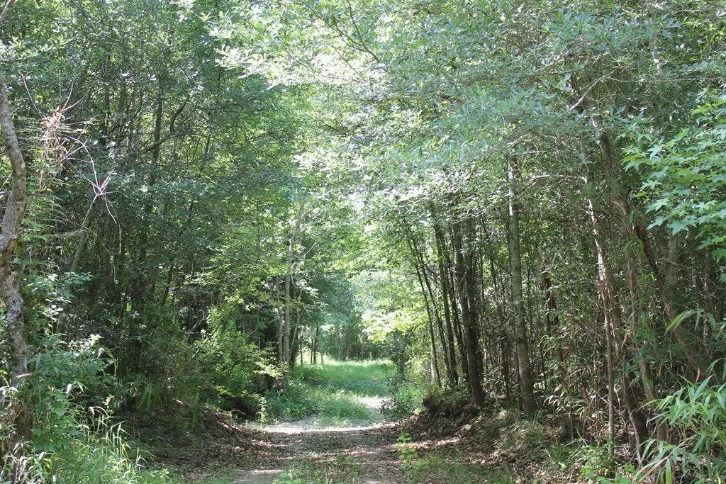 Picture 29